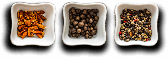 Astoria Biryani House